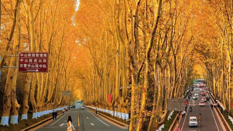 Nam Ninh lãng mạn vào mùa thu