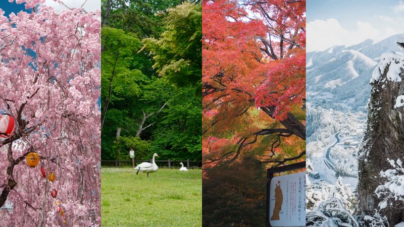 Lựa chọn thời điểm đẹp nhất du lịch Sendai