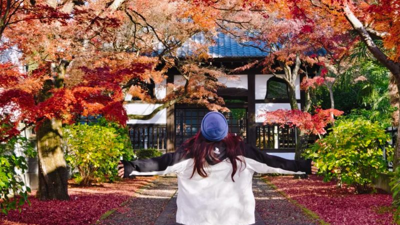 Mùa thu là mùa đẹp nhất du lịch Sendai