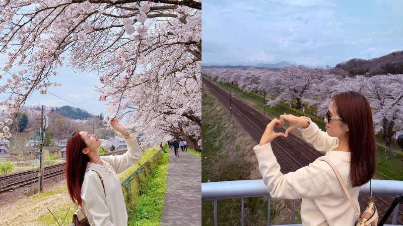 Sendai mùa xuân tràn ngập sắc hoa anh đào