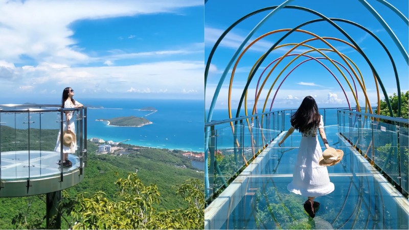 Chi&ecirc;m ngưỡng to&agrave;n cảnh vịnh biển từ C&ocirc;ng vi&ecirc;n rừng thi&ecirc;n đường nhiệt đới Vịnh &Aacute; Long