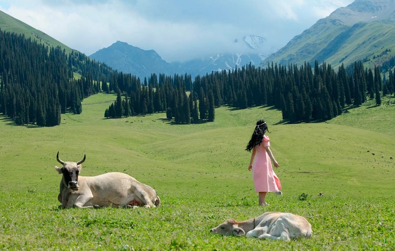 Lịch trình khám phá Tân Cương trọn vẹn 