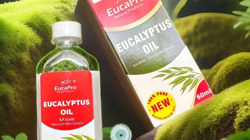 Dầu khuynh diệp - quà tặng phù hợp khi đi Úc du lịch