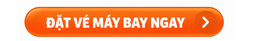 dat ve may bay ngay