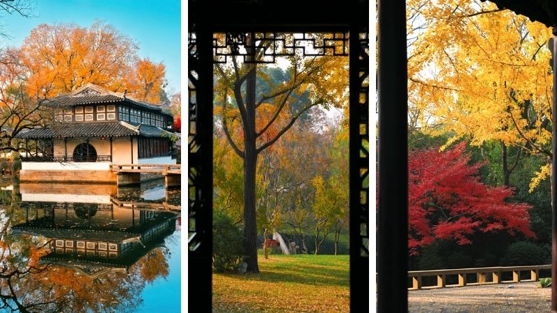 Khu vườn Chuyết Ch&iacute;nh Vi&ecirc;n tuyệt đẹp v&agrave;o m&ugrave;a thu (@XiaoLy)