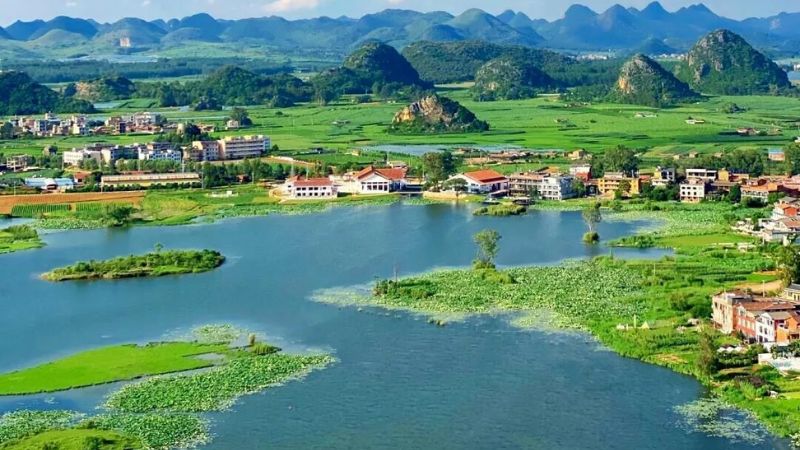 Kiến Thuỷ m&ugrave;a h&egrave;
