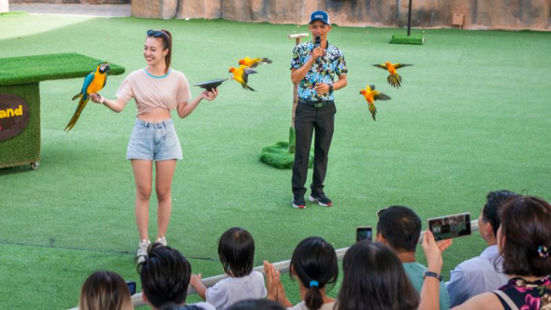 Show biểu diễn chim