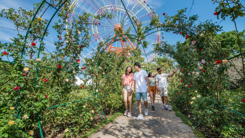 Vườn hoa hồng VinWonders Nha Trang