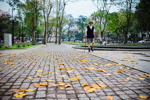 Những con đường vàng rực màu lá rơi. 
