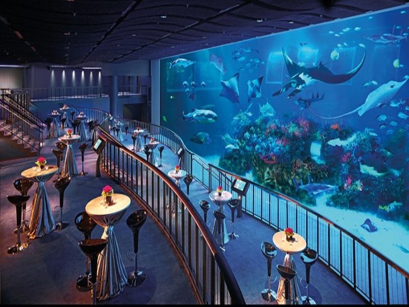Dịch vụ ăn uống dưới lòng đại dương, Sea Aquarium Singapore