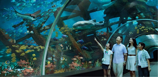 Thủy cung Sea Aquarium Singapore