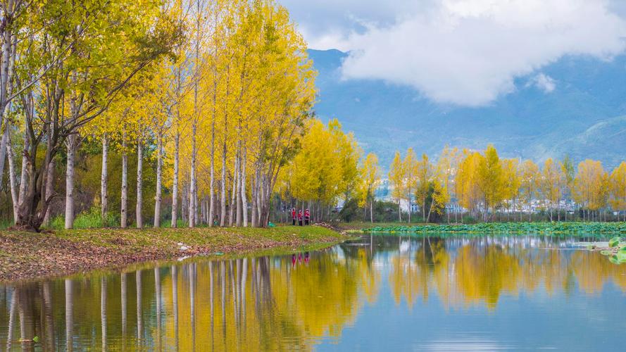 Bức tranh m&ugrave;a thu v&agrave;ng l&atilde;ng mạn b&ecirc;n hồ Nhĩ Hải