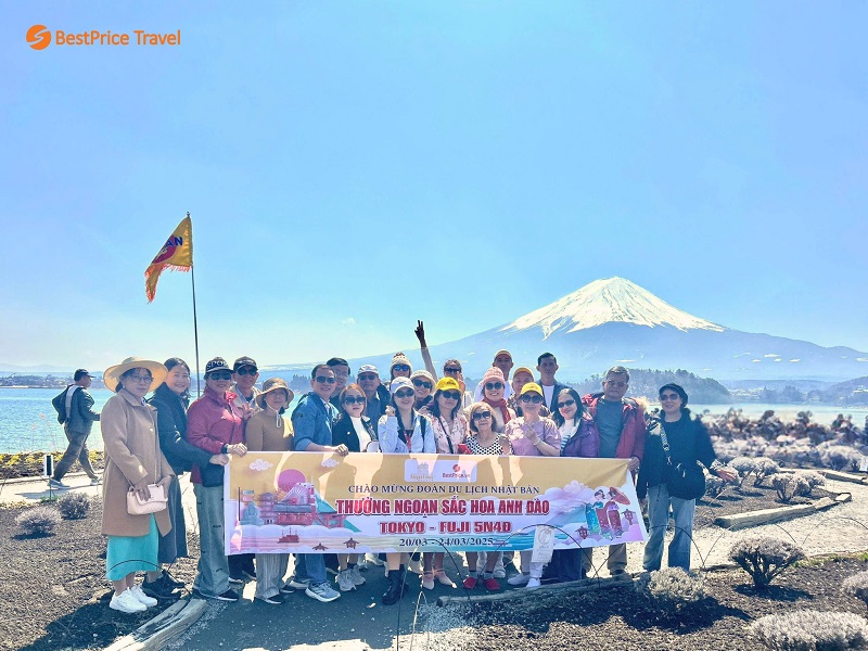 Đo&agrave;n kh&aacute;ch BestPrice trong tour Nhật Bản m&ugrave;a hoa anh đ&agrave;o 2025