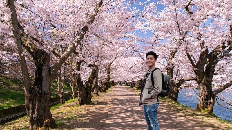 Gợi &yacute; lịch tr&igrave;nh du lịch Nhật Bản m&ugrave;a hoa anh đ&agrave;o