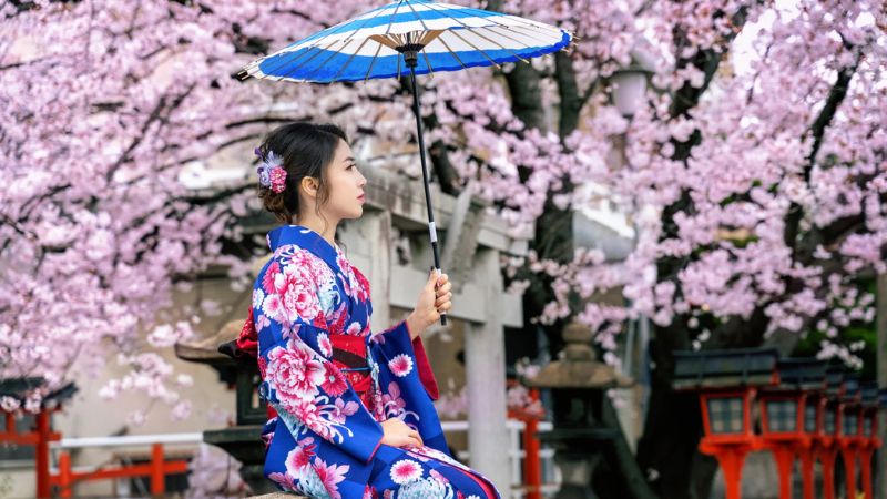 Những điều cần biết khi đi Nhật Bản m&ugrave;a hoa anh đ&agrave;o