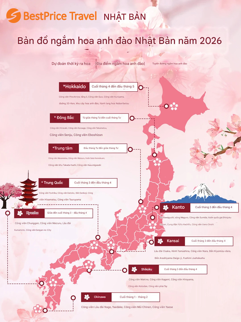 Dự b&aacute;o lịch hoa anh đ&agrave;o Nhật Bản năm 2026