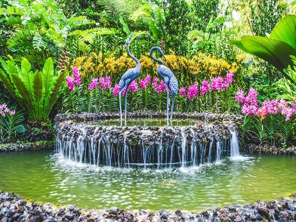 Vườn lan theo mùa tại Nation Orchid Garden, Singapore Botanic Garden