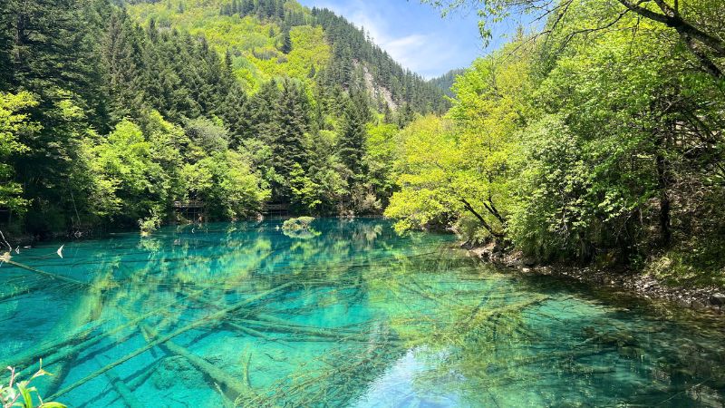 Cảnh sắc thiên nhiên đẹp như tranh vẽ ở hồ Ngũ Hoa