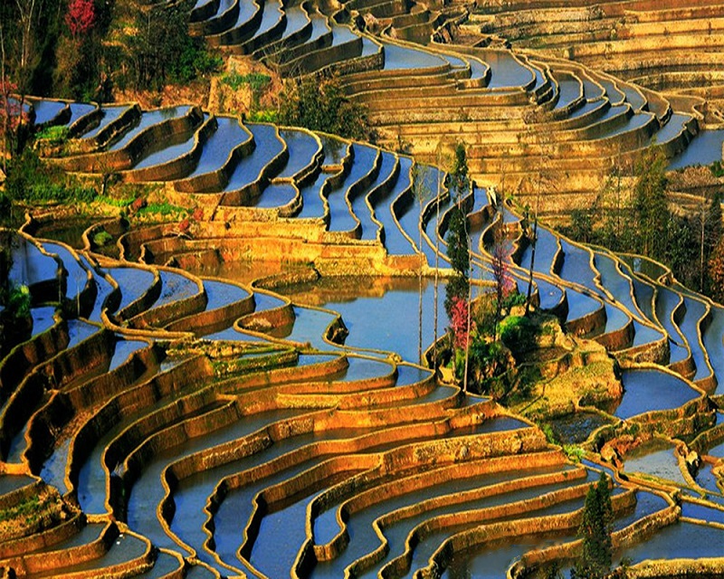 Ruộng bậc thang Yuanyang