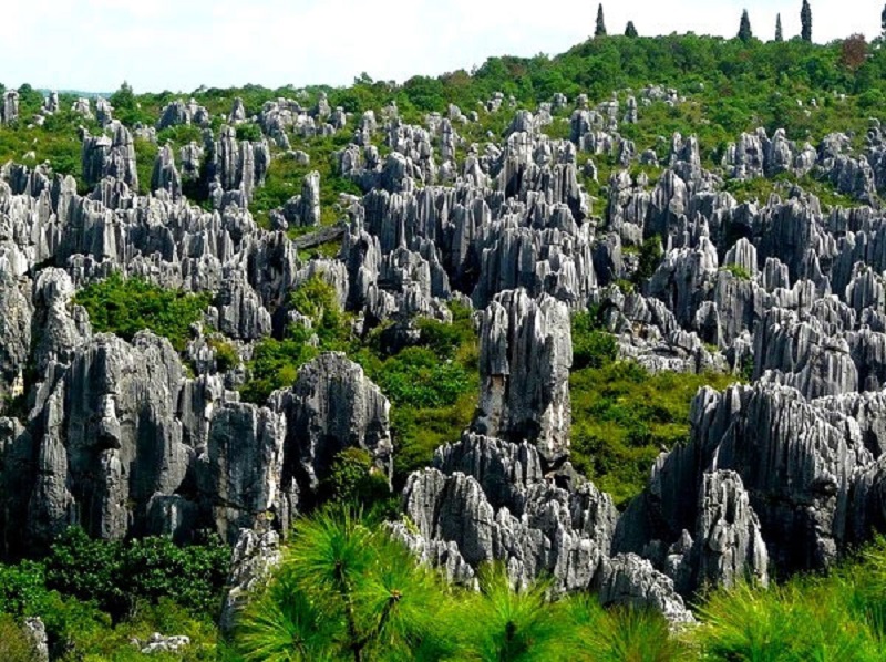 Rừng đá Trung Đô