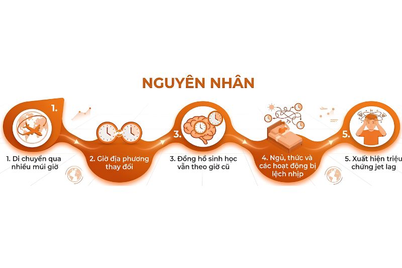 Chuỗi nguy&ecirc;n nh&acirc;n g&acirc;y ra Jet lag