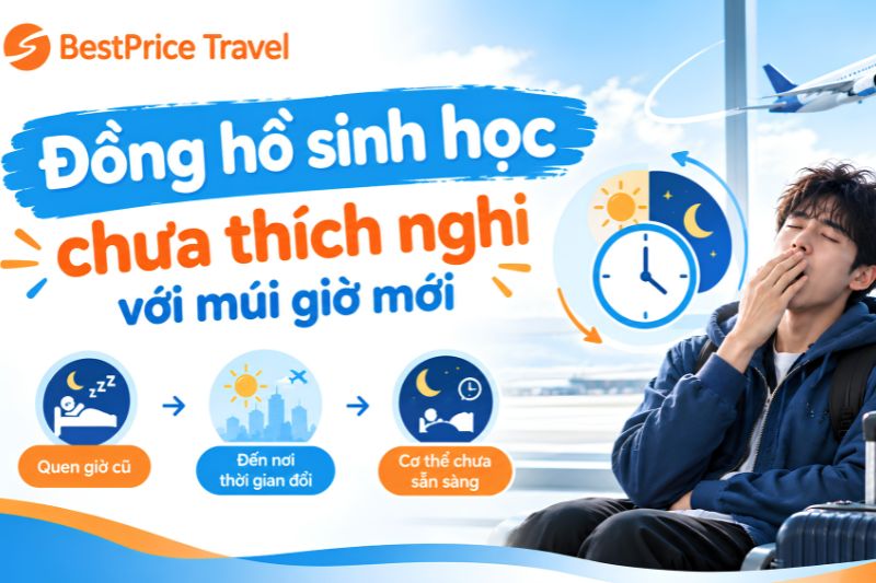 Đồng hồ sinh học cần thời gian để th&iacute;ch nghi với m&uacute;i giờ mới sau chuyến bay.