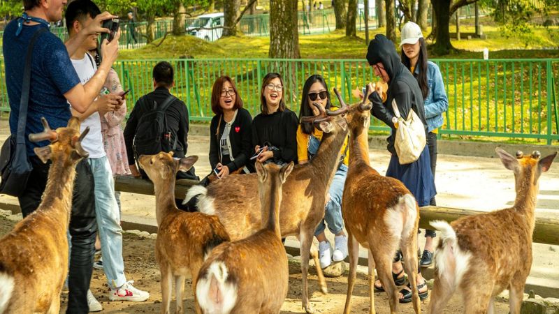 Gợi &yacute; lịch tr&igrave;nh Du Lịch Kansai 