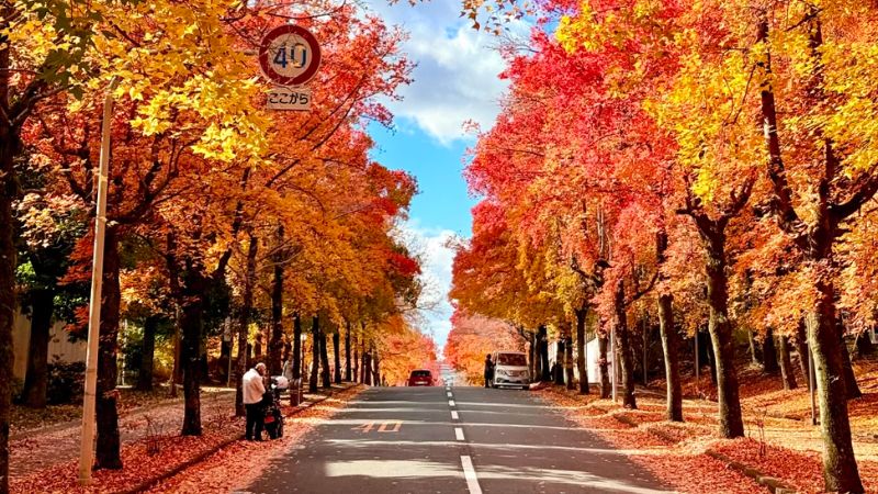  M&ugrave;a thu l&agrave; m&ugrave;a cao điểm du lịch Kansai