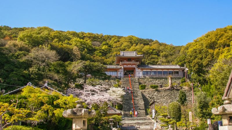  Wakayama - điểm đến của t&acirc;m linh