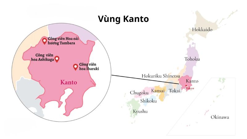 Tổng quan về khu vực Kanto, Nhật Bản