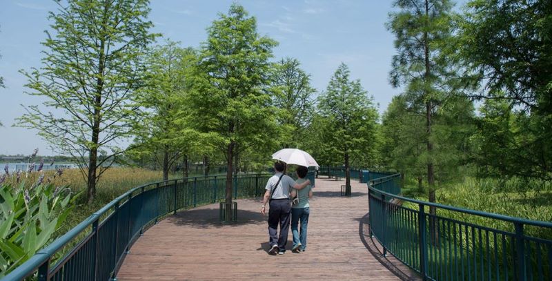 Không gian xanh tại Wishing Star Park