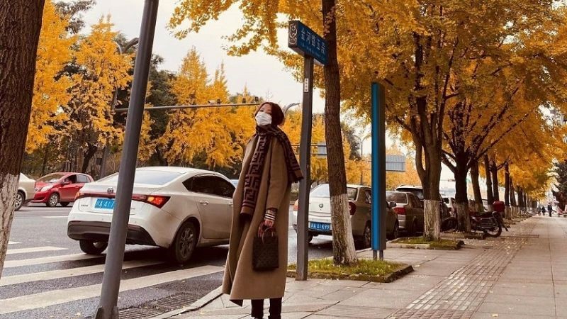 Di chuyển tới tượng Phật trên núi Lạc Sơn bằng xe taxi