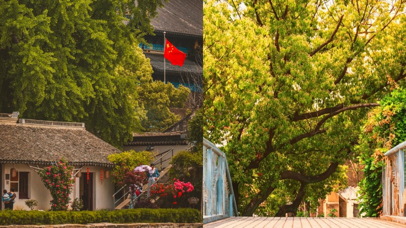 Cảnh sắc ng&agrave;y h&egrave; ở Cổ Trấn Th&aacute;i B&igrave;nh