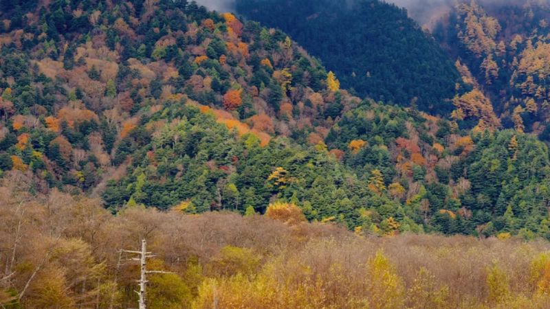 Khám phá Nhật Bản theo cách chậm rãi tại Nagano