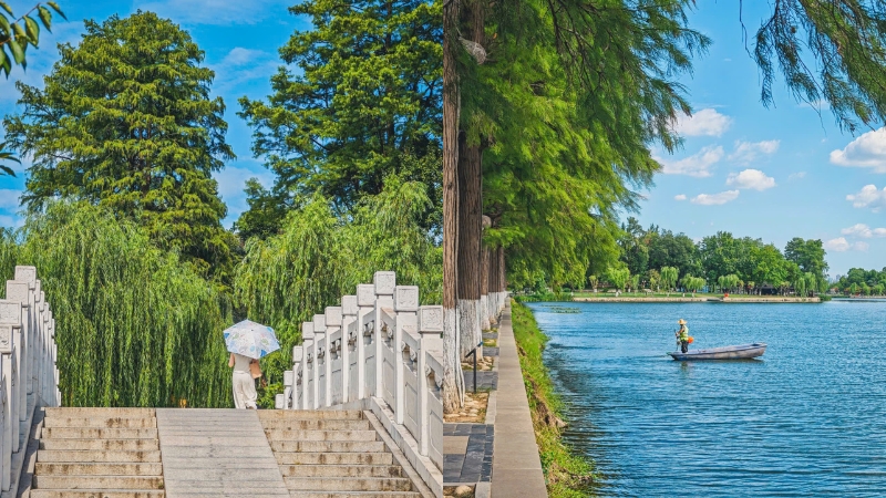 Du lịch Vũ Hán 1 ngày vãn cảnh tại East Lake (Ảnh: XHS@嘻嘻尘)