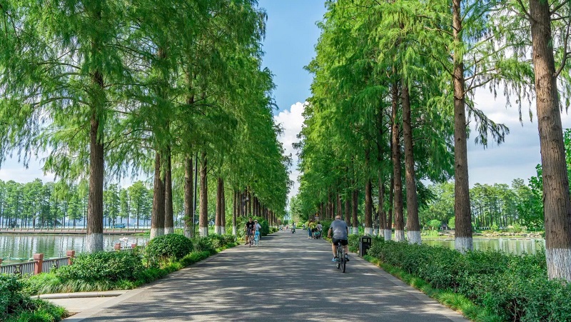 Tận hưởng không khí trong lành ở Đông Hồ Vũ Hán