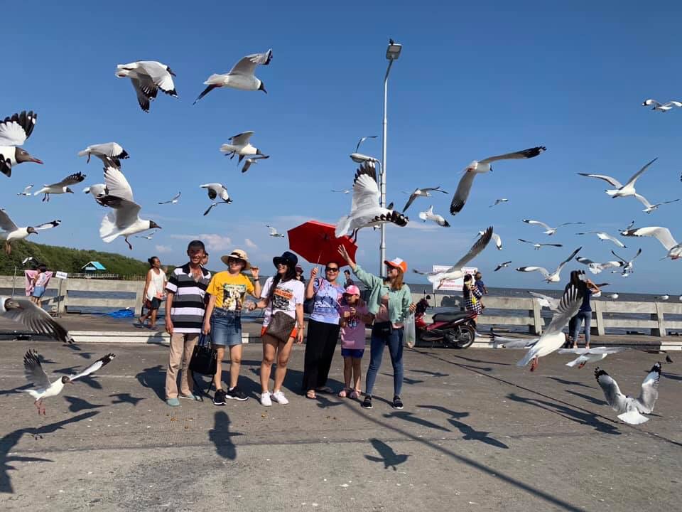 Khách hàng của BestPrice chụp ảnh cùng bầy chim Hải Âu