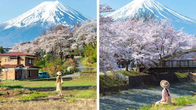 Du lịch Yamanashi rất đáng trải nghiệm