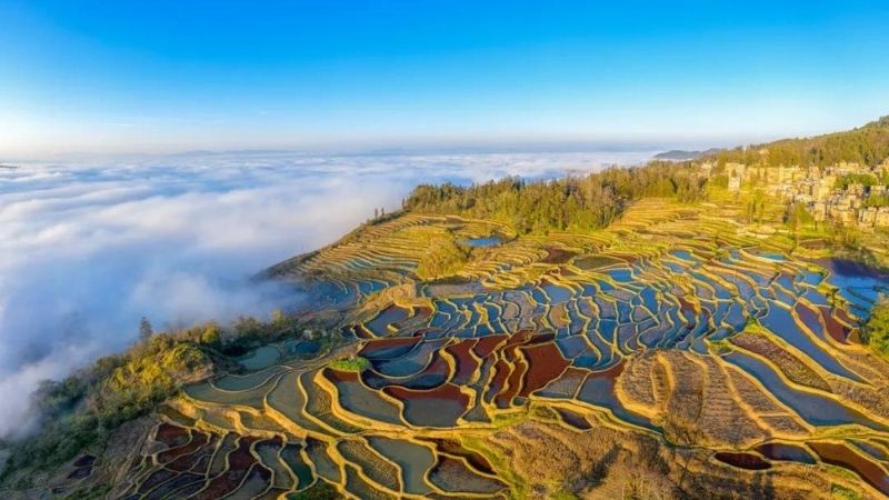 Ghé thăm ruộng bậc thang Nguyên Dương đầy ấn tượng