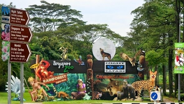 Vườn Night Safari có hơn 1200 loài động vật đến từ nhiều vùng miền trên thế giới