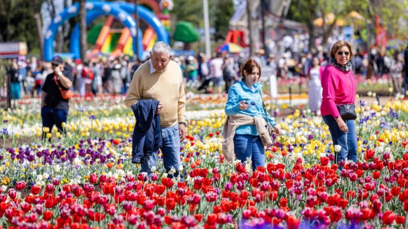 Lễ hội hoa Floriade được tổ chức thường niên