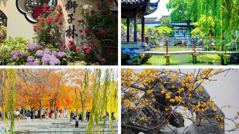 Thời tiết Sư Tử Lâm 4 mùa trong năm
