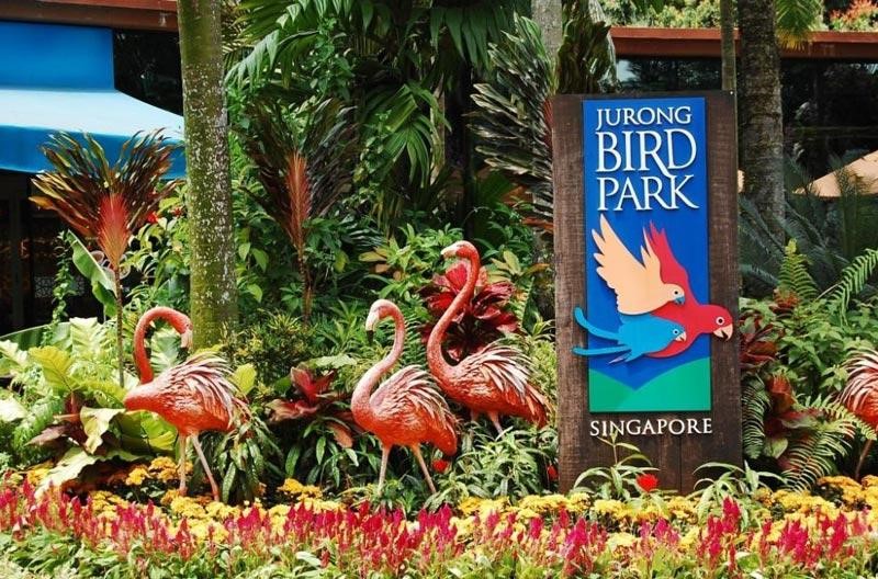 Vườn chim Jurong là một trong những điểm đến hấp dẫn nhất tại đảo quốc sư tử