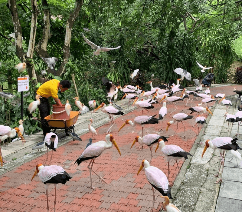 Vườn Chim KL -  Kuala Lumpur Bird Park