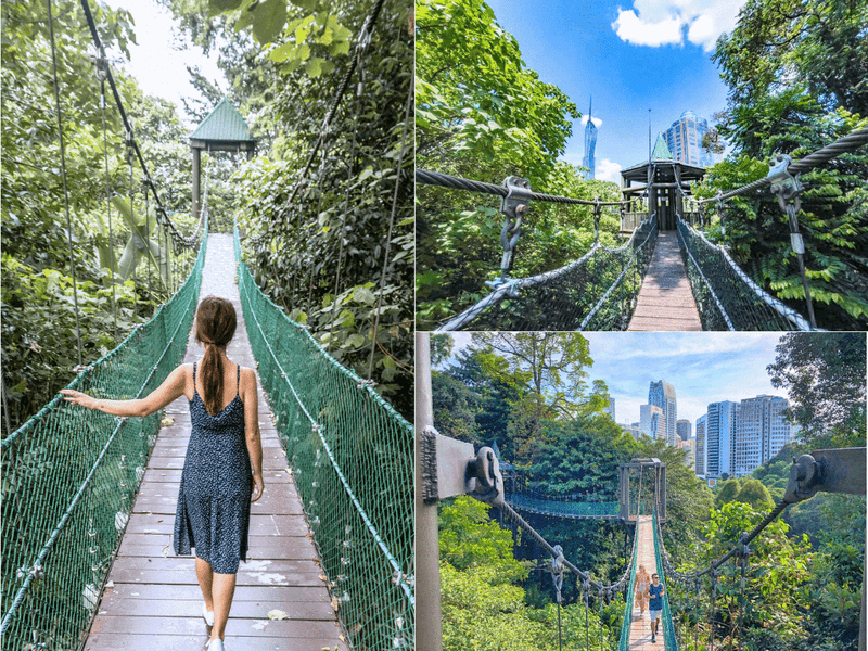 Công viên sinh thái rừng KL và cầu treo Canopy Walk