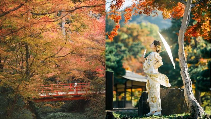 M&ecirc; mẩn cảnh sắc m&ugrave;a thu l&atilde;ng mạn ở Kyoto