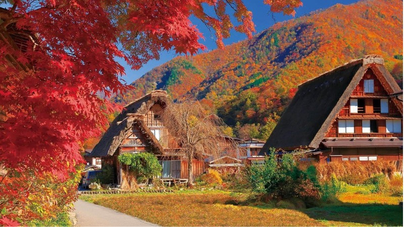 M&ugrave;a thu l&aacute; đỏ đẹp như tranh ở Shirakawago