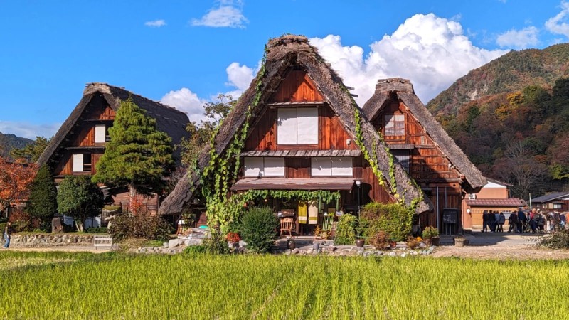 Những ng&ocirc;i nh&agrave; m&aacute;i tranh Gassho-zukuri h&agrave;ng trăm năm tuổi ở Shirakawago