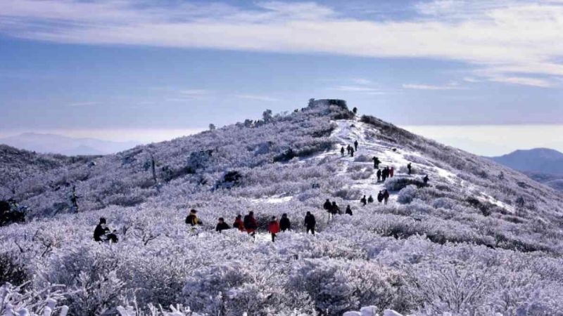 Vui chơi tại lễ hội núi tuyết Taebaeksan