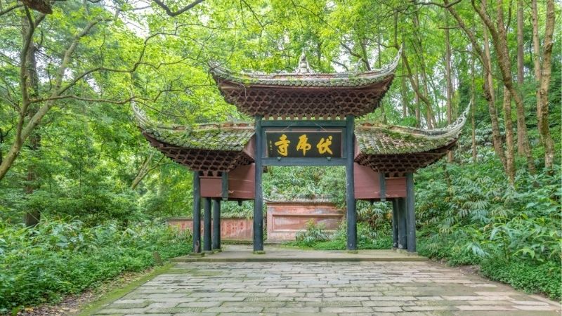 Ch&ugrave;a Phục Hổ nằm ẩn s&acirc;u trong rừng gi&agrave;